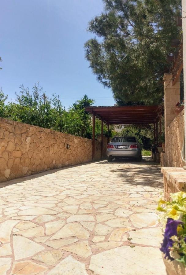 Mediterranean Garden Villa Vathi  Экстерьер фото