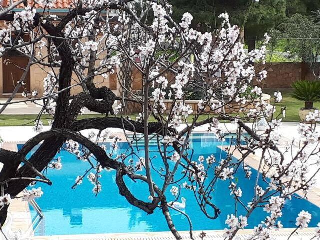 Mediterranean Garden Villa Vathi  Экстерьер фото