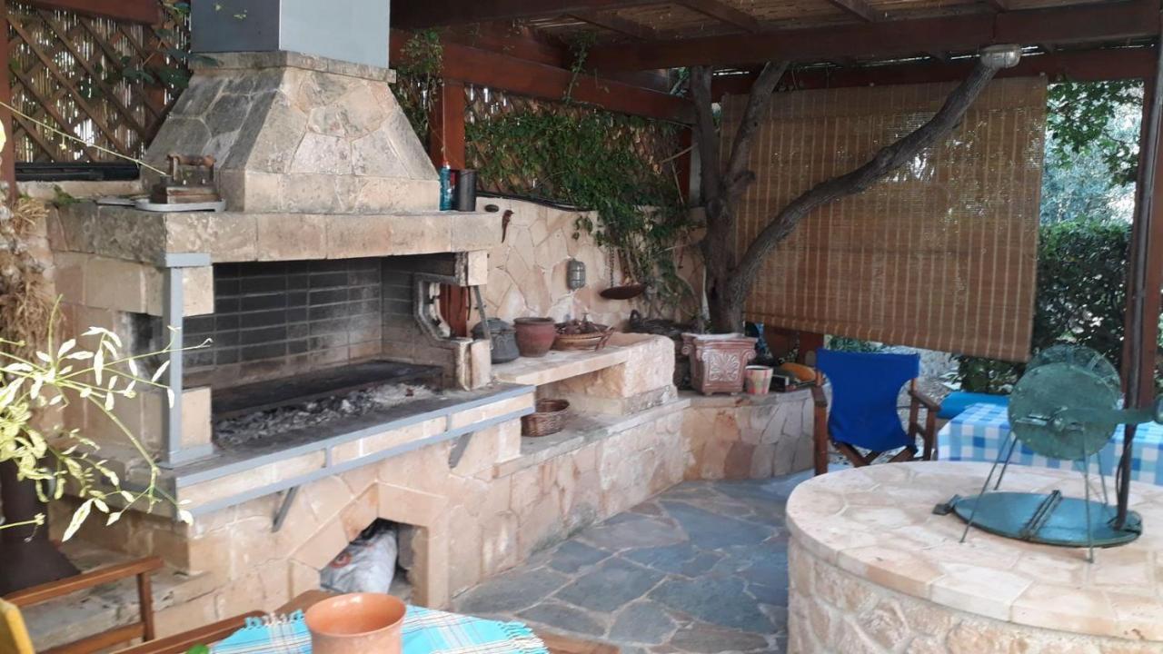 Mediterranean Garden Villa Vathi  Экстерьер фото