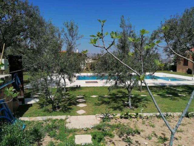 Mediterranean Garden Villa Vathi  Экстерьер фото